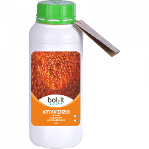 Bolvit Aryan Enzim