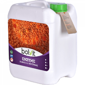 Bolvit Enzyme