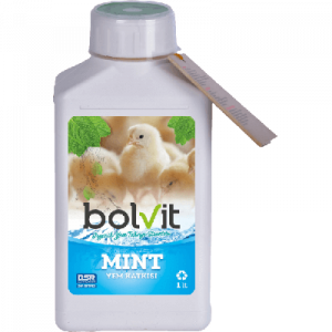 Bolvit Mint