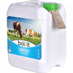 Bolvit Cattle