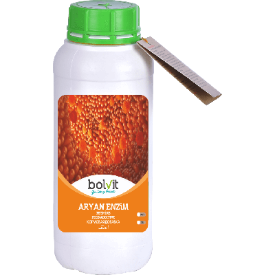 Bolvit Aryan Enzim