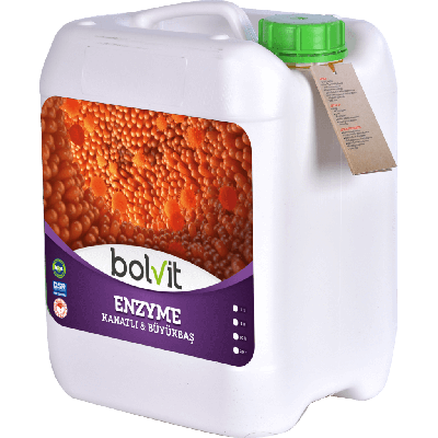 Bolvit Enzyme
