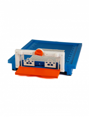 IPKT-006 Plastik Kovan Tabanı 42.5 x 50.5