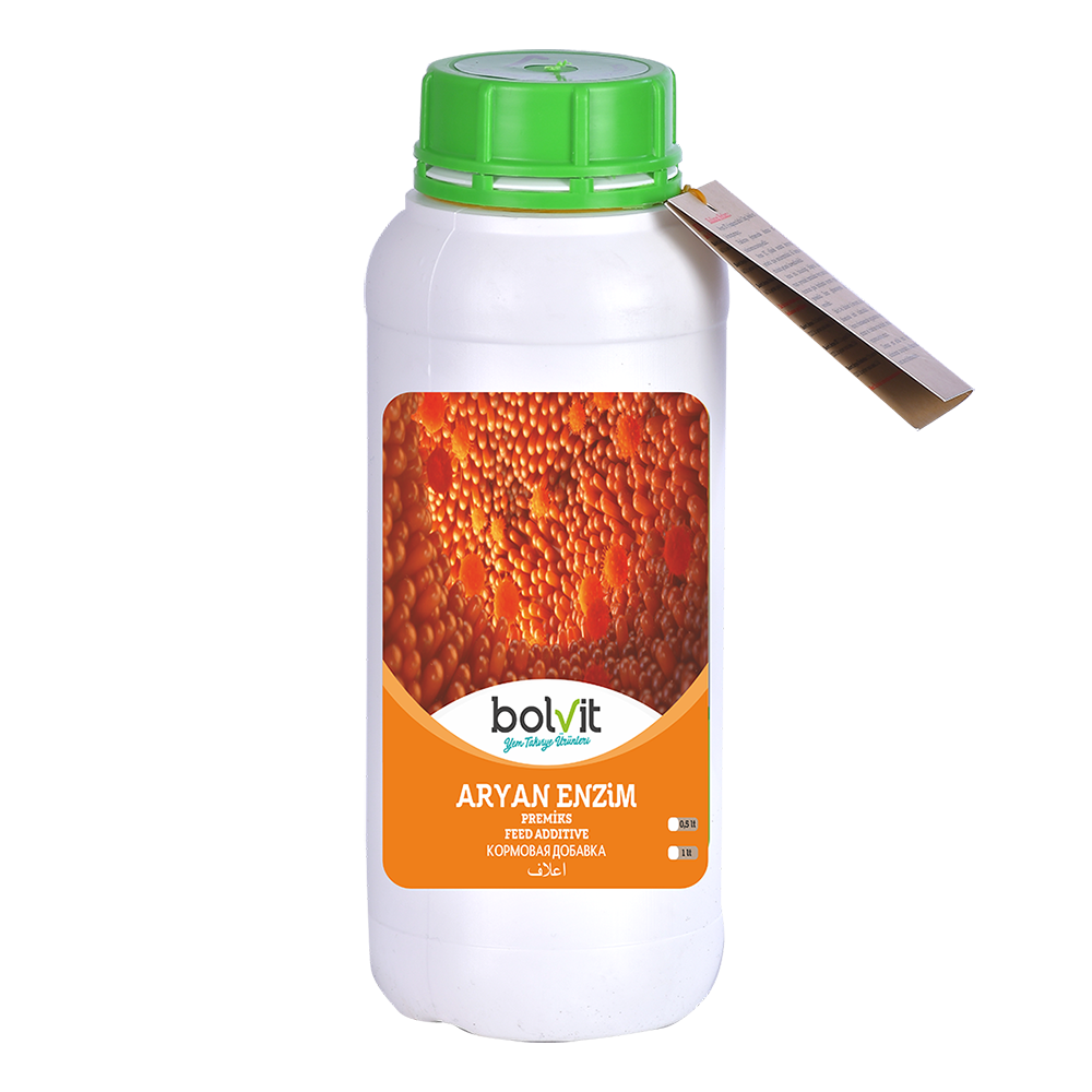 Bolvit Aryan Enzim 1 Litre